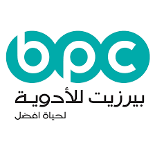 مدير دائرة المشاريع